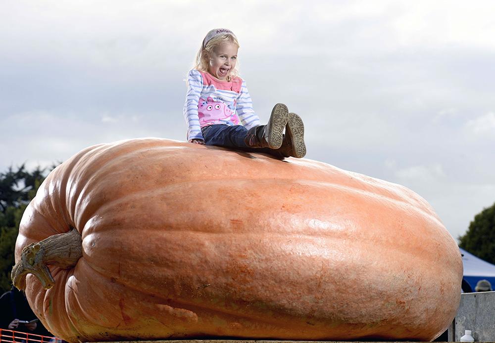 Niña sentada en una calabaza de una tonelada